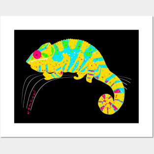 Panther chameleon (Furcifer pardalis) Posters and Art